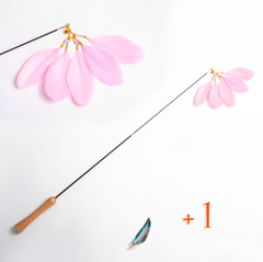 Wooden Cat Teaser Wand - Retractable Cat Toy